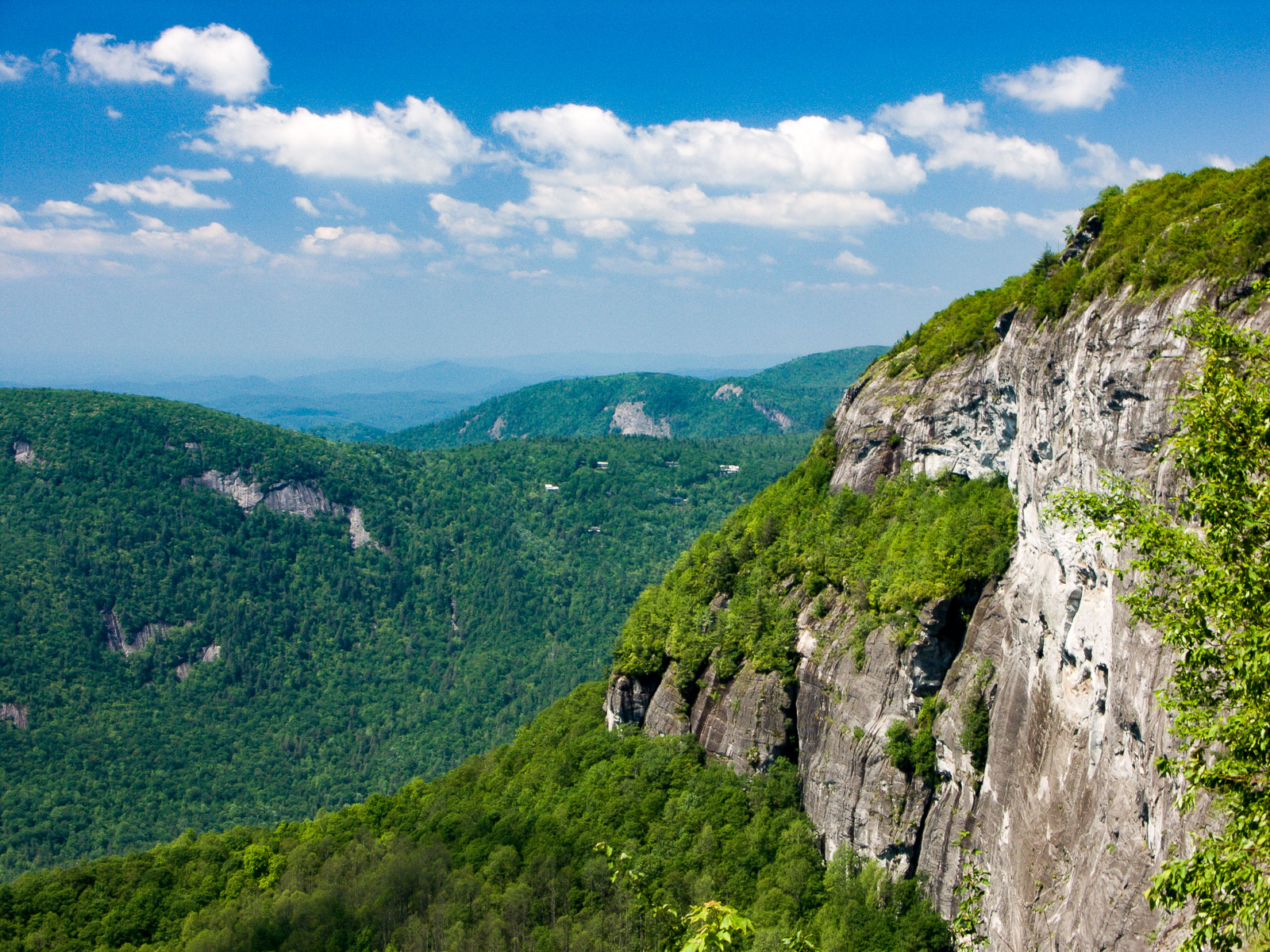 Pisgah & Nantahala National Forests, North Carolina