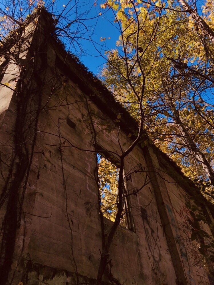 Best Hikes In National Forests Of Texas Tx Trailhead Traveler