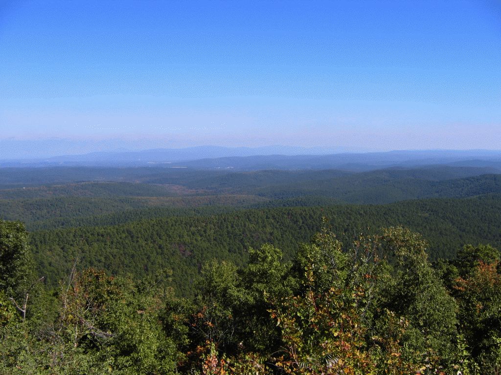 Best Hikes in Ouachita National Forest (AR) Trailhead Traveler